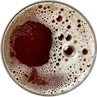 https://www.backporte.com/wp-content/uploads/2017/05/beer_transparent_02.png