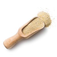 https://www.backporte.com/wp-content/uploads/2017/05/ingredients_transparent_02.png