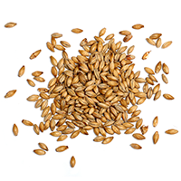 https://www.backporte.com/wp-content/uploads/2017/05/ingredients_transparent_03.png