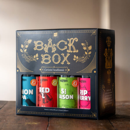 https://www.backporte.com/wp-content/uploads/2024/06/BACKBOX-447x447.jpg